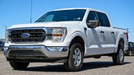 2021 Ford F-150 XLT SuperCrew 5.5' Box 4WD